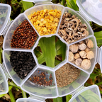 MissFlowery Winter Planting Gift Box – 7 Easy-to-Grow Seeds for Beginners | Vegetables, Herbs & Flowers MissFlowery